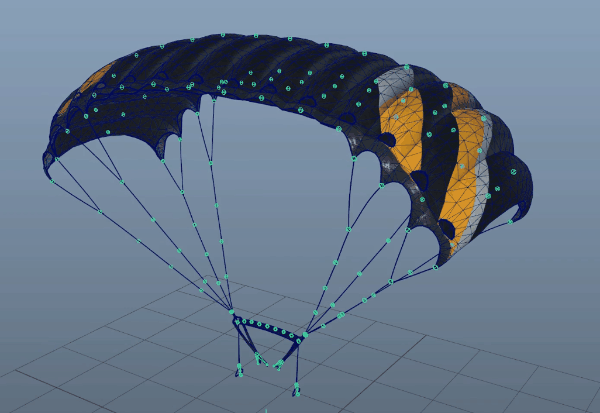 Parachute Canopy X-Ray